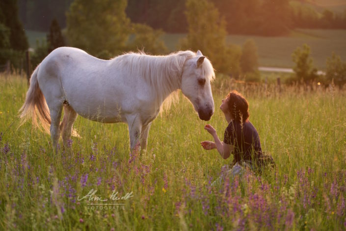 Frau kommuniziert mit altem Pony im Abendlicht