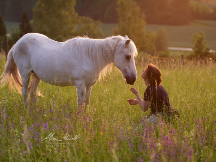 Frau kommuniziert mit altem Pony im Abendlicht